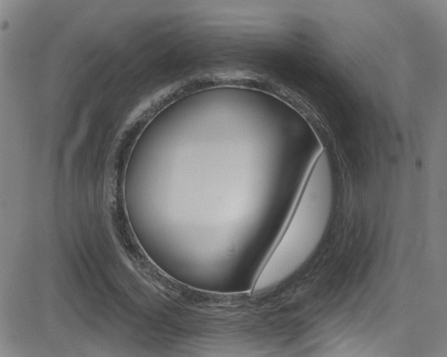 X0000081300732200701110933