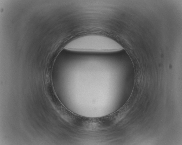 X0000081300743200701110933