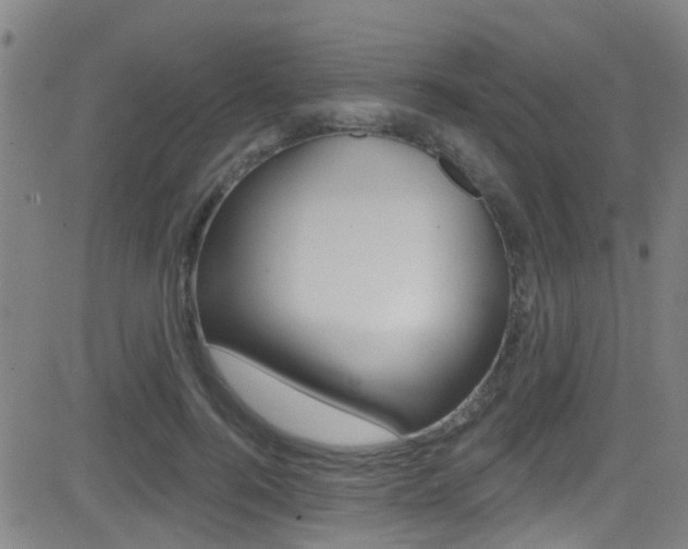 X0000081300744200701110933