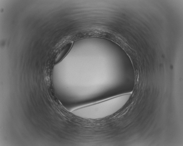 X0000081300771200701110933