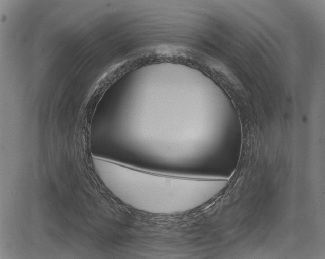 X0000081300776200701110933
