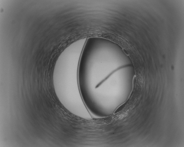 X0000081300818200701110931