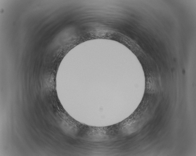 X0000081300820200701110931