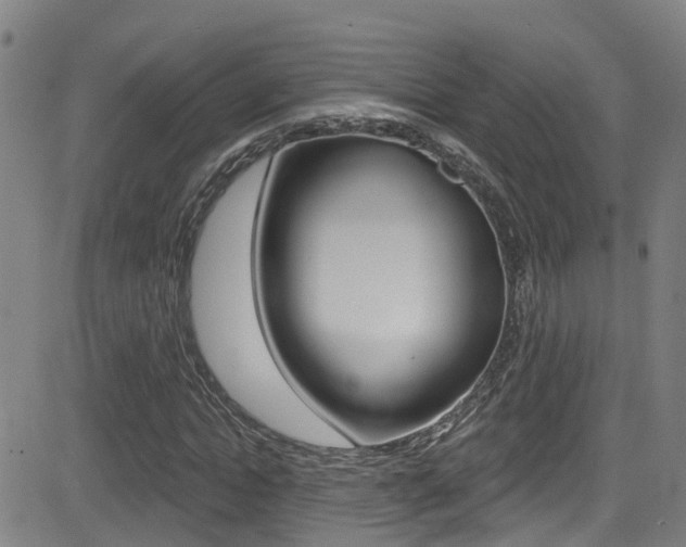 X0000081300822200701110931