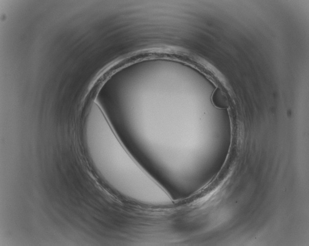 X0000081300829200701110932