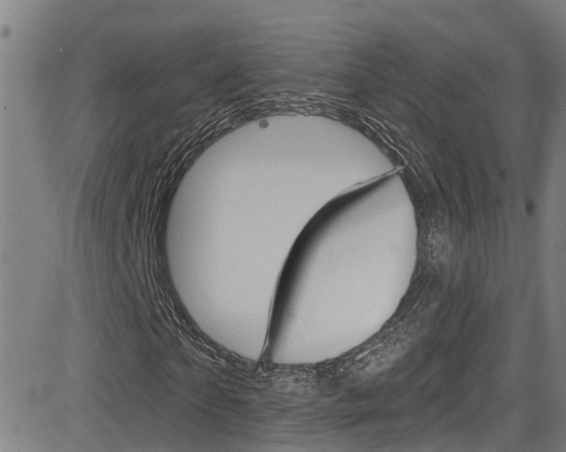 X0000081300865200701110931