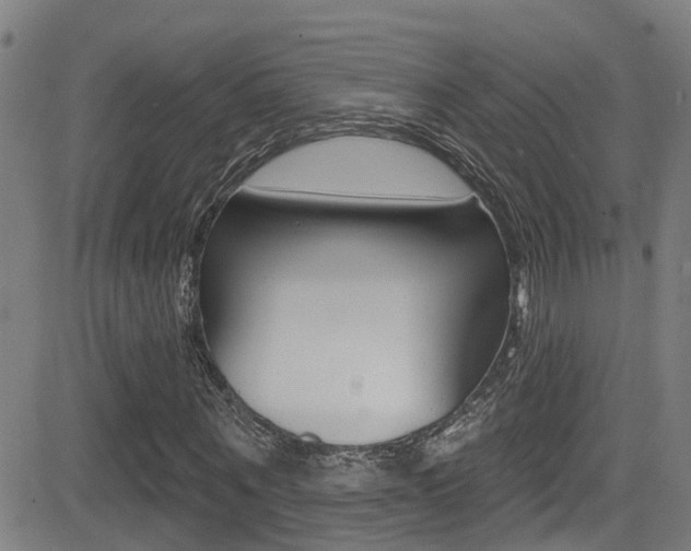 X0000081300867200701110931