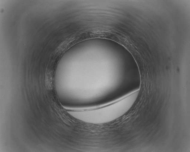 X0000081300868200701110931