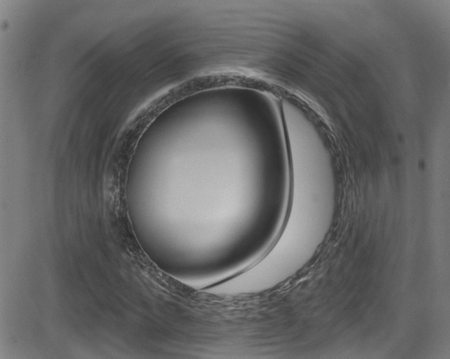 X0000081300872200701110931