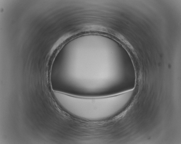 X0000081300877200701110931