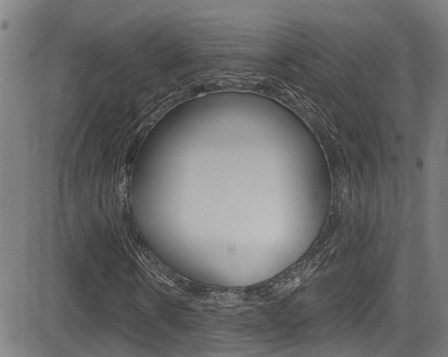 X0000081300914200701110930