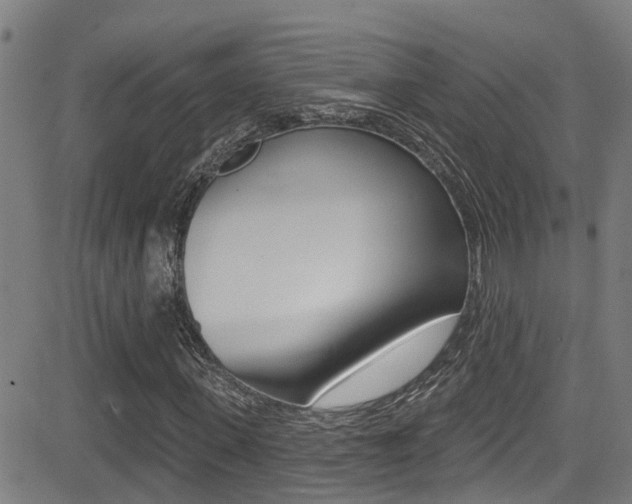 X0000081300915200701110930