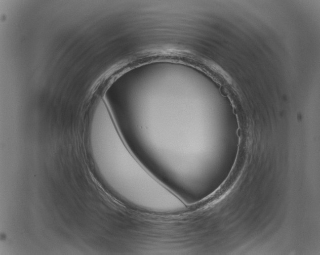 X0000081300922200701110930