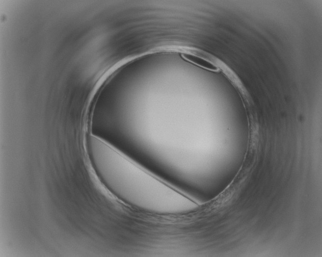 X0000081300955200701110930