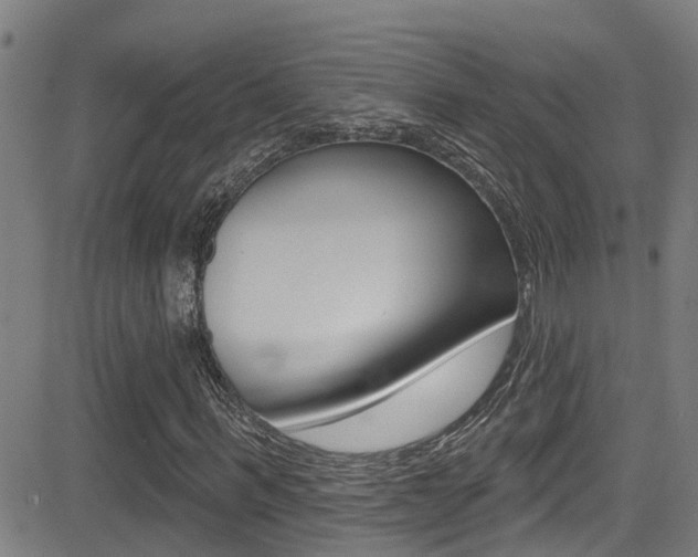X0000081300963200701110930