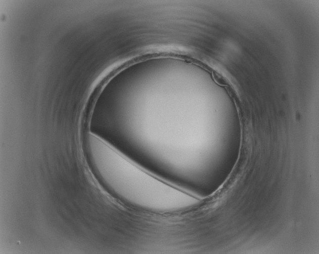 X0000081300983200701110929
