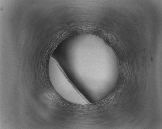 X0000081301009200701110928