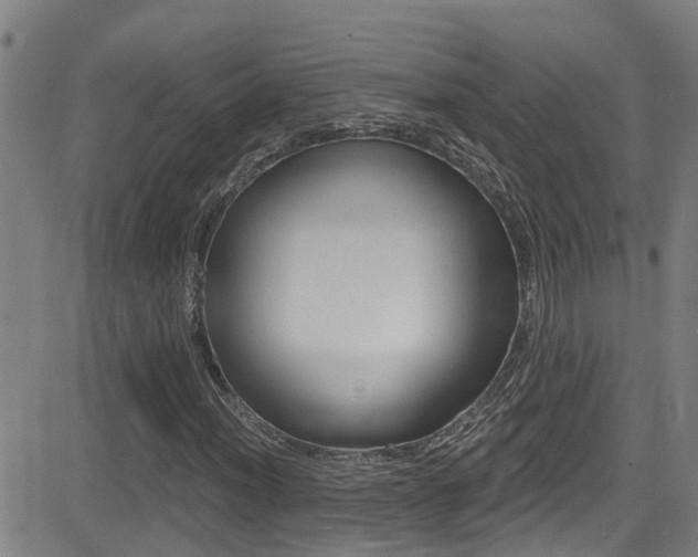X0000081301012200701110928