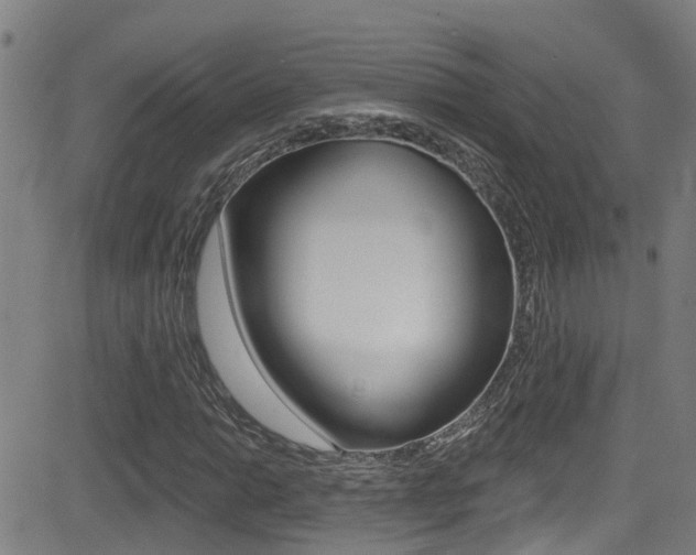 X0000081301014200701110928