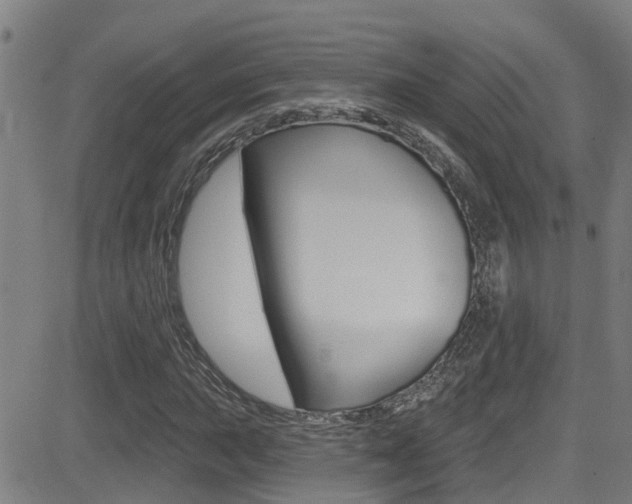 X0000081301015200701110928