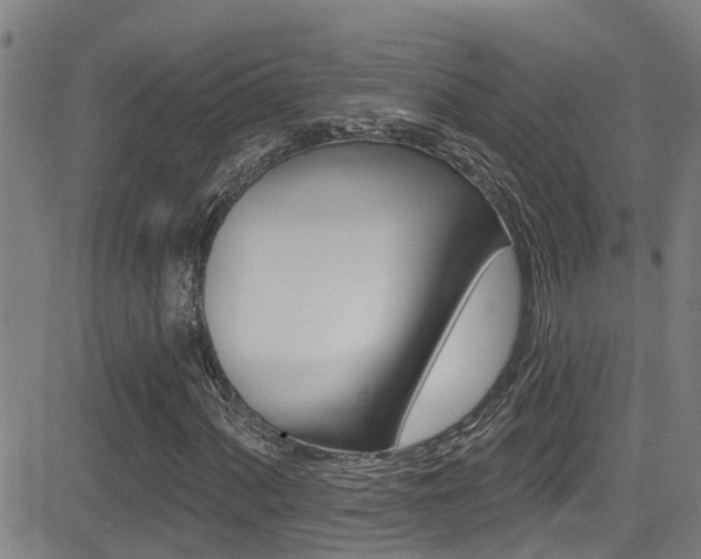 X0000081301060200701110928