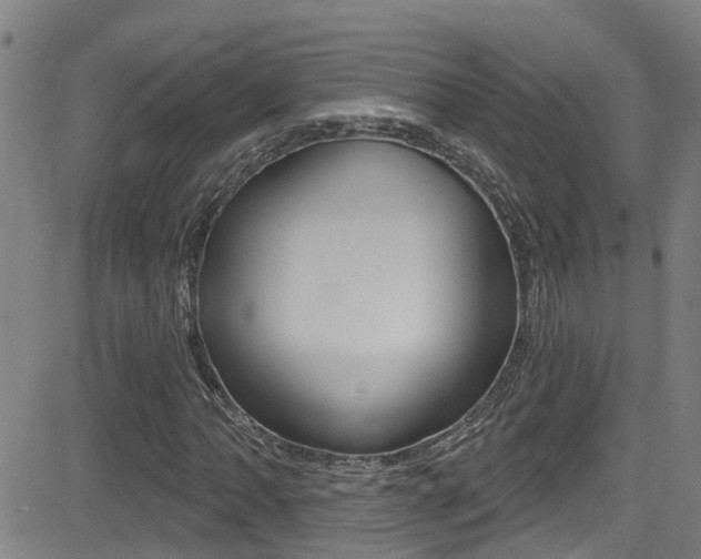 X0000081301062200701110928