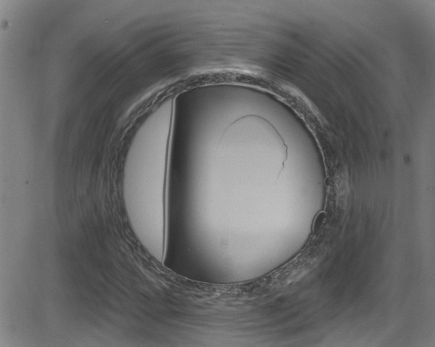 X0000081301064200701110928
