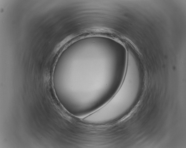 X0000081301065200701110928