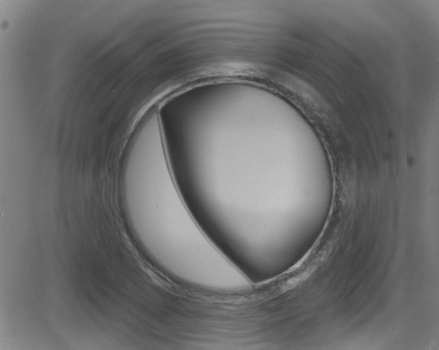 X0000081301073200701110928