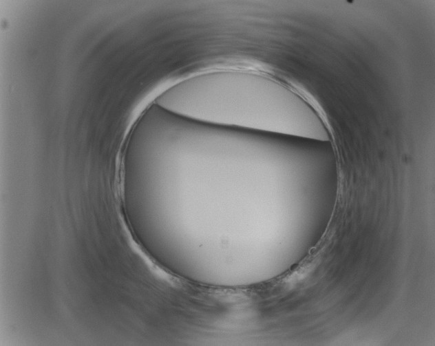X0000081301103200701110927