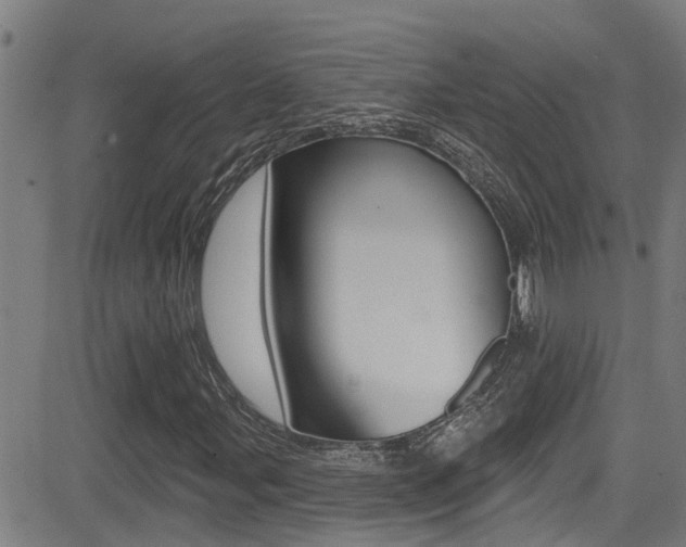 X0000081301107200701110927