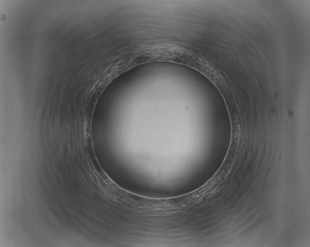X0000081301108200701110927