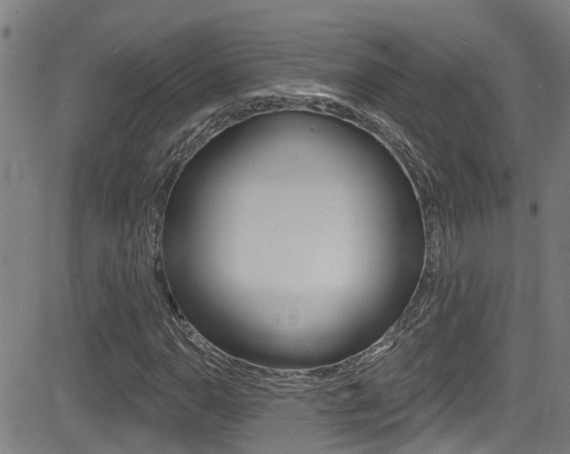 X0000081301110200701110927