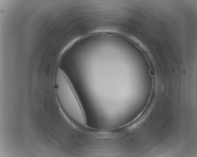X0000081301137200701110927