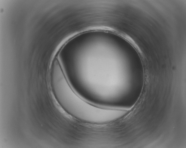 X0000081301140200701110927