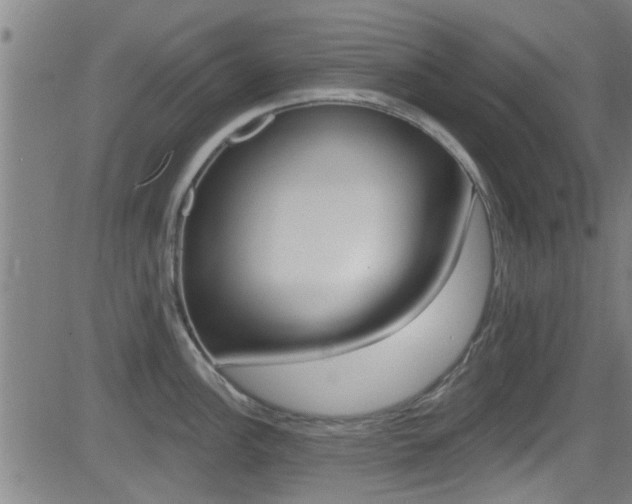 X0000081301148200701110927