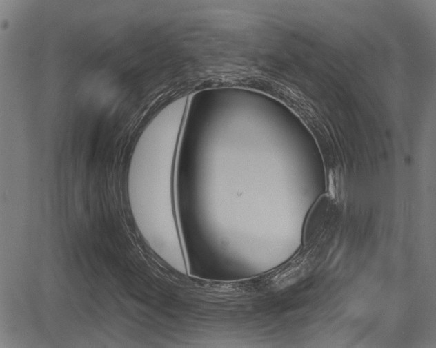 X0000081301155200701110927