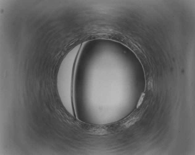 X0000081301156200701110927