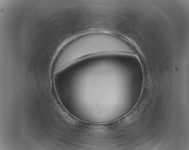X0000081301168200701110926