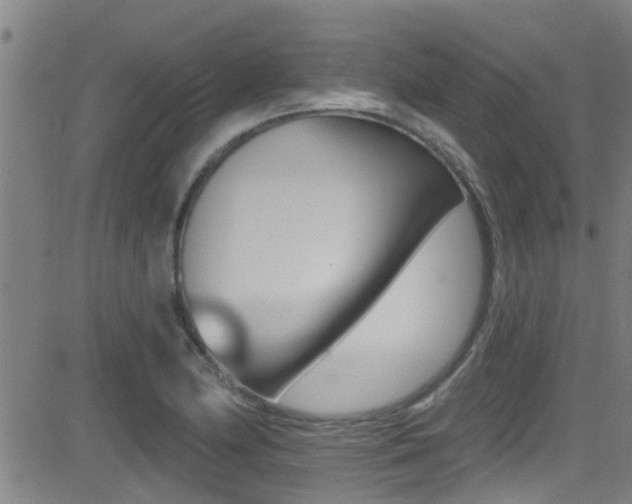 X0000081301174200701110926
