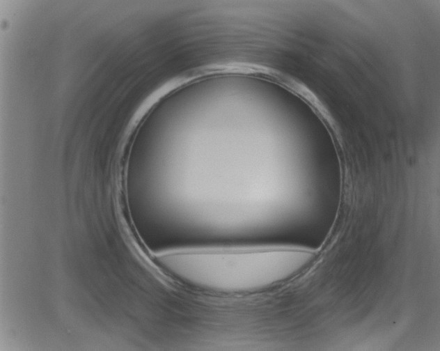 X0000081301187200701110926