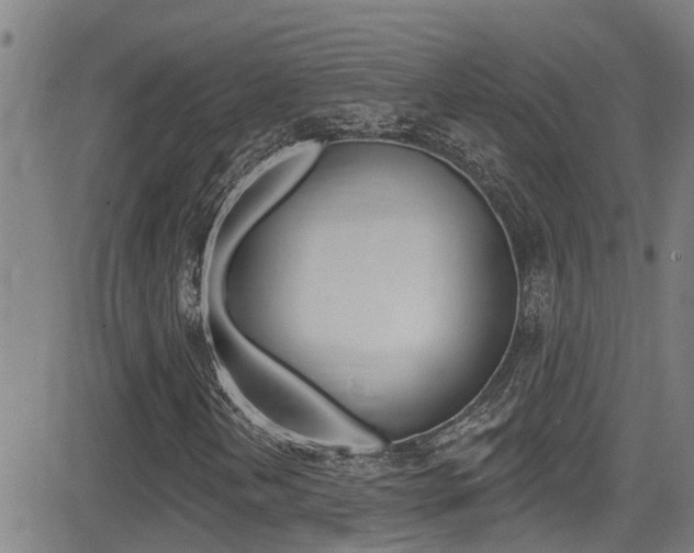 X0000081301202200701110925