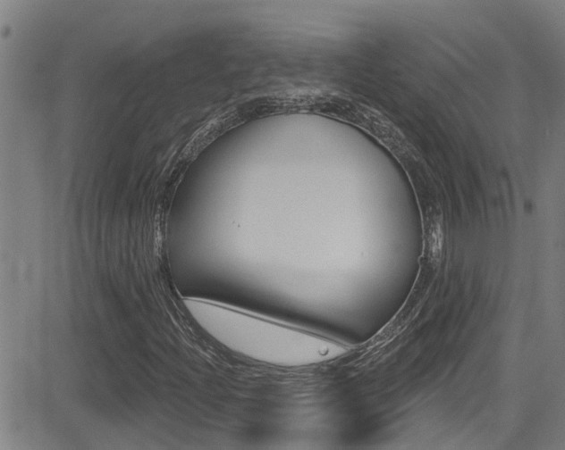 X0000081301204200701110925
