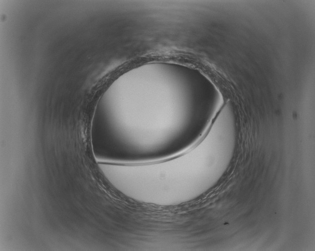 X0000081301206200701110925