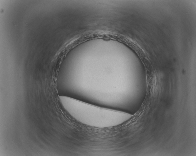 X0000081301207200701110925