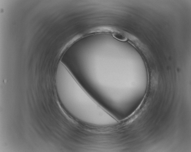 X0000081301233200701110926