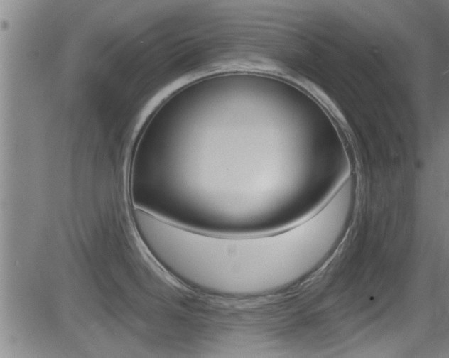 X0000081301246200701110926