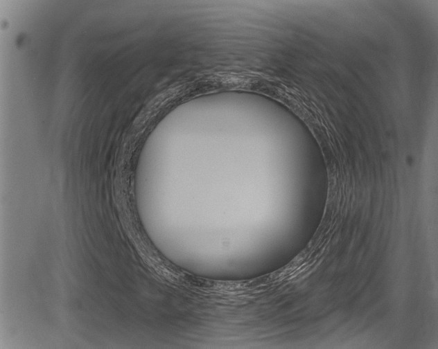 X0000081301249200701110925