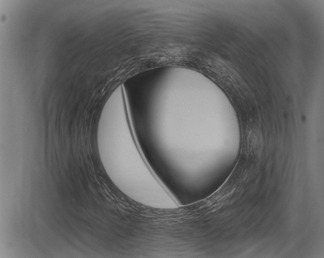 X0000081301250200701110925
