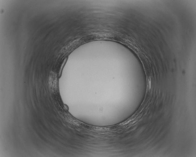 X0000081301251200701110925